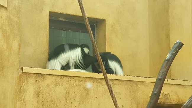 Super zoo Telefónne číslo