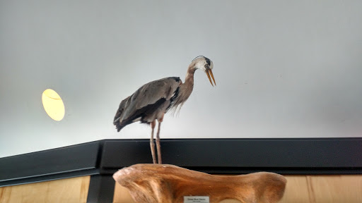 Nature Preserve «Wood Lake Nature Center», reviews and photos, 6710 Lake Shore Dr S, Minneapolis, MN 55423, USA