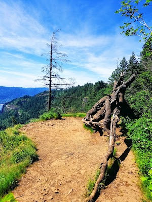 Cape Horn Trail - photo 25