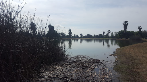 Golf Course «Madera Municipal Golf Course», reviews and photos, 23200 Avenue 17, Madera, CA 93637, USA