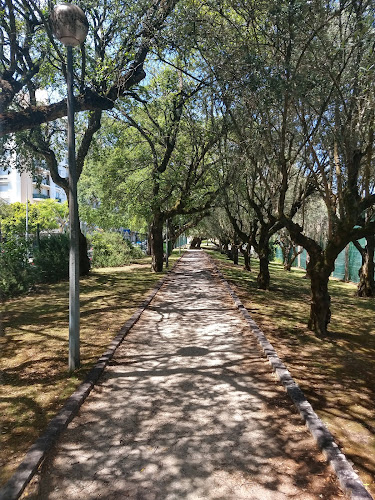 Quinta das Flores - Campo de futebol