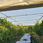 Photo n°16 de l'avis de Angela. fait le 30/07/2023 à 08:14 sur le  Podere Riosto à Pianoro