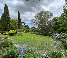 Delheim Wine Estate photo