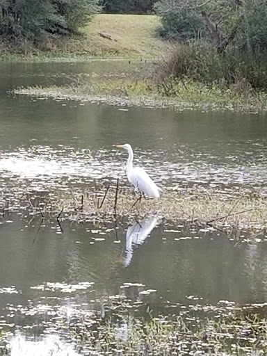 Nature Preserve «Spring Trails Preserve», reviews and photos, Claytons Bend, Spring, TX 77386, USA