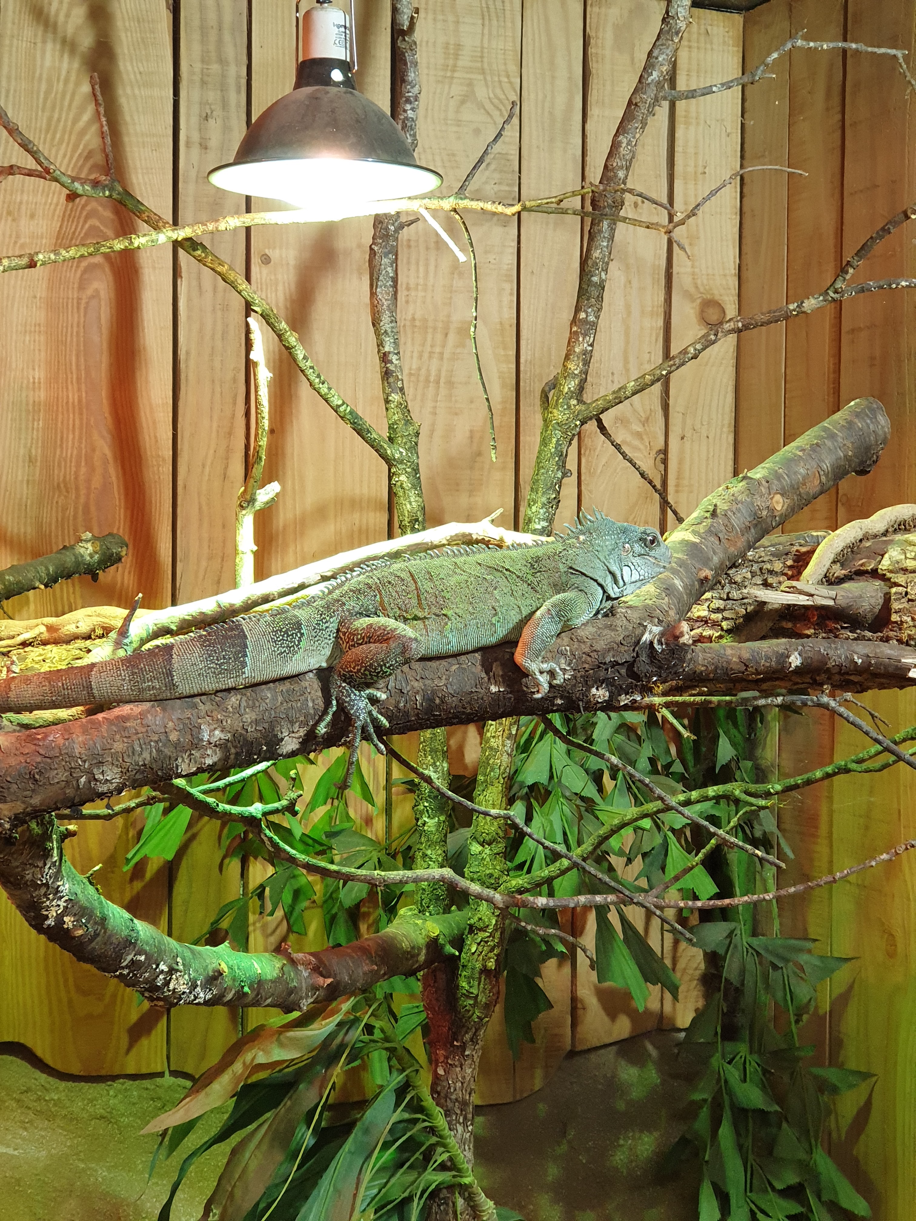 Photo n° 1 de l'avis de Théo.e fait le 14/05/2022 à 14:15