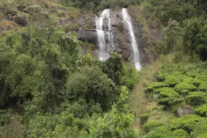 Nayamakad Waterfall image