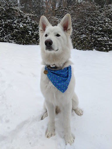 Pet Supply Store «Petco Animal Supplies», reviews and photos, 103 Commerce Way a, Woburn, MA 01801, USA