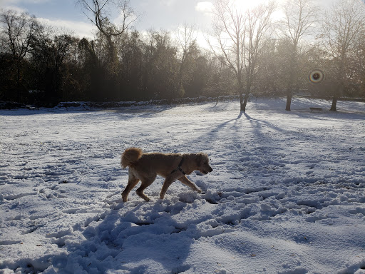 Park «Paws Place Dog Park», reviews and photos, Broadfield Rd, New Rochelle, NY 10804, USA