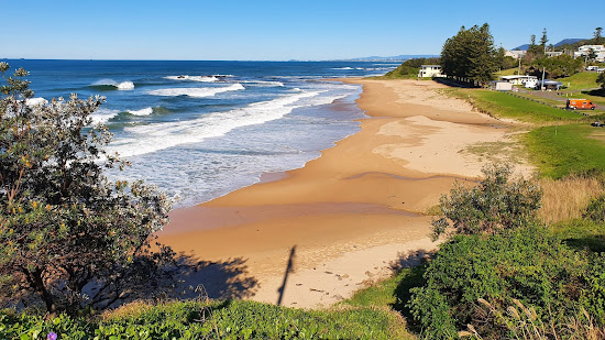 Coledale Beach