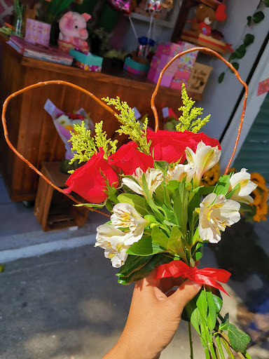 Floreria Aparicio