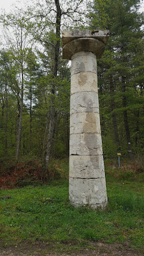 Borne-colonne n°8 de la forêt de Chaux à Chissey-sur-Loue