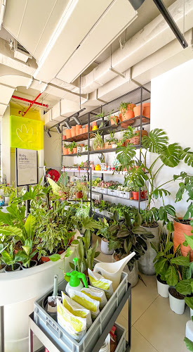 The plant store - Santiago - Providencia