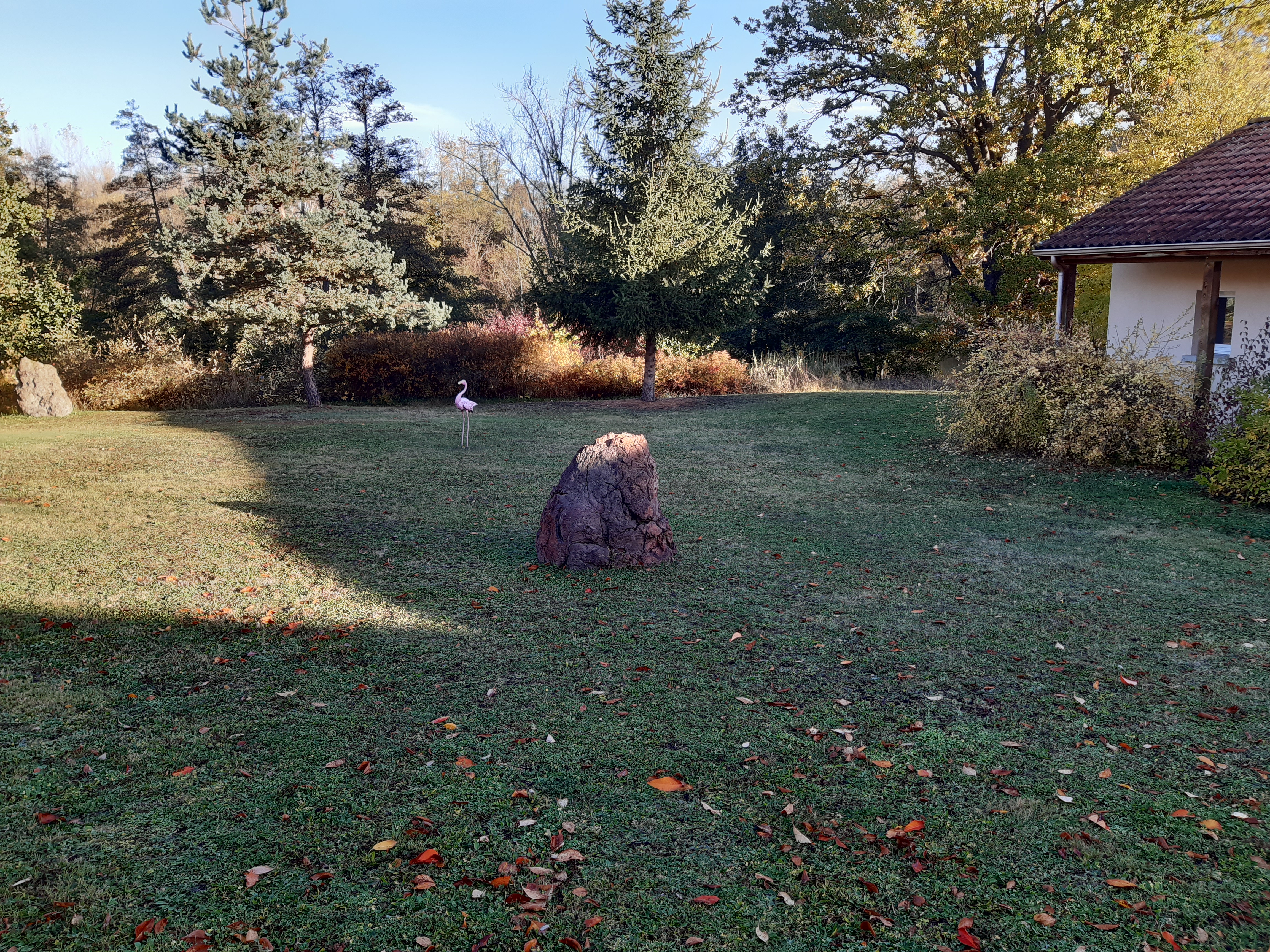 Photo n° 3 de l'avis de Ours.3 fait le 21/10/2020 à 09:16