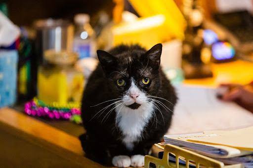 4684 Valley Rd, Berkeley Springs, WV 25411, USA