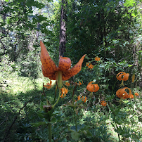 Portillo Chiropractic, Digestive health wellness - Photo 8 - Car repair in San Jose, CA, Santa Clara