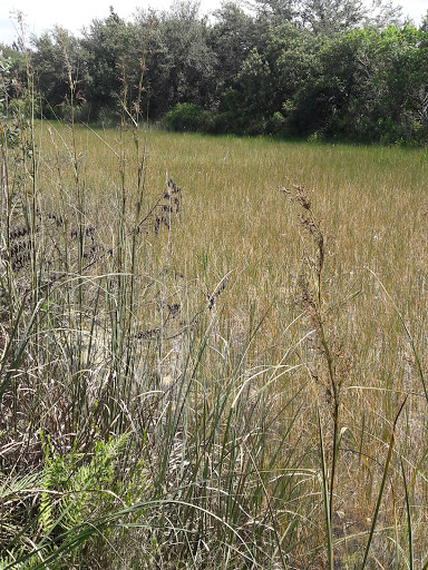 Nature Preserve «Chapel Trail Nature Preserve», reviews and photos, 19800 Sheridan St, Fort Lauderdale, FL 33332, USA