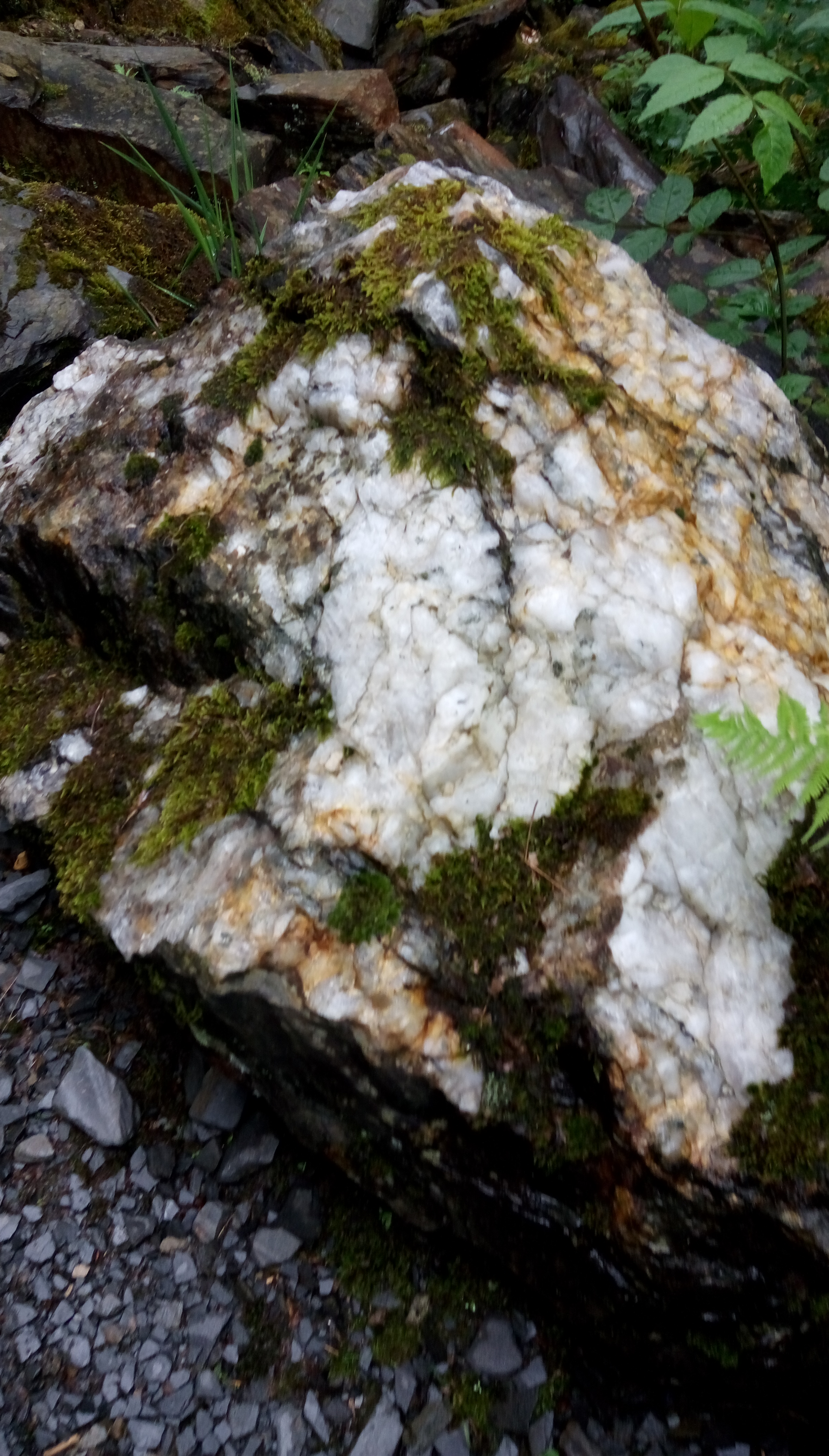 Photo n° 5 de l'avis de véronique.u fait le 13/06/2019 à 11:34
