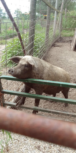 Zoo «Cricket Hollow Zoo», reviews and photos, 1512 210th St, Manchester, IA 52057, USA