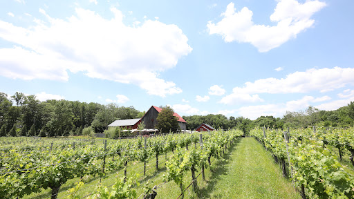 Winery «Great Frogs Winery», reviews and photos, 3218 Harness Creek Rd, Annapolis, MD 21403, USA
