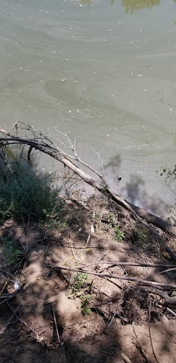 Park «Bob Findlay Linear Park», reviews and photos, 900 Findlay Dr, Arlington, TX 76012, USA