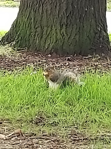 Park «Berrydale Park», reviews and photos, SE Taylor St, Portland, OR 97216, USA