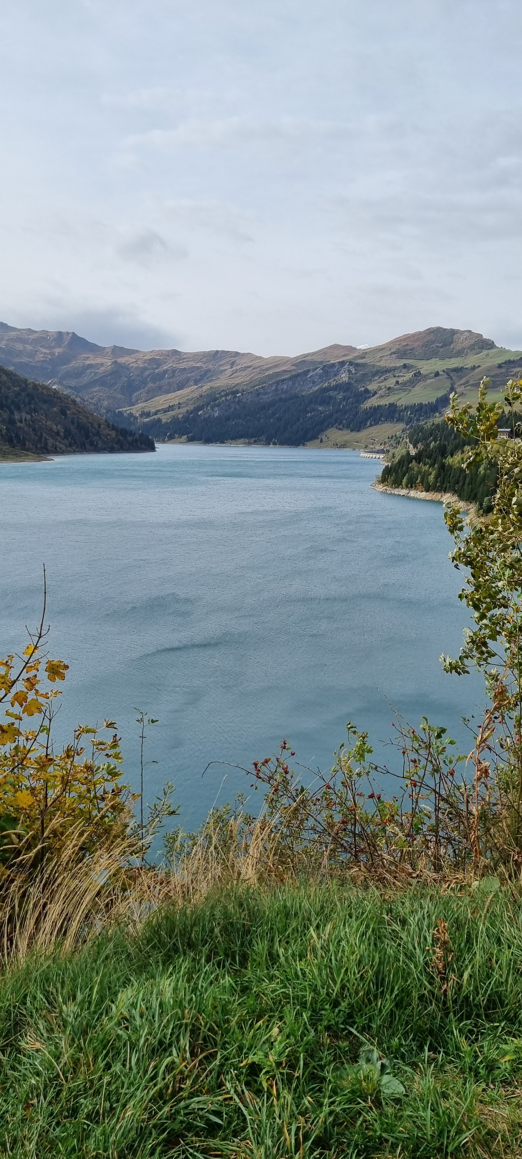Photo n° 13 de l'avis de Isabelle.a fait le 26/10/2023 à 18:39