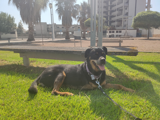 Hospital Veterinario Puchol en Madrid