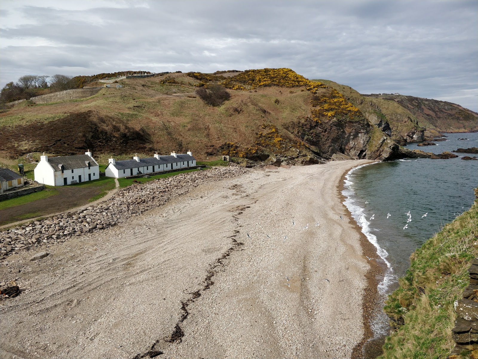 Fotografija Berriedale Castle Beach z ravna obala