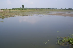Ahiron Wetland image