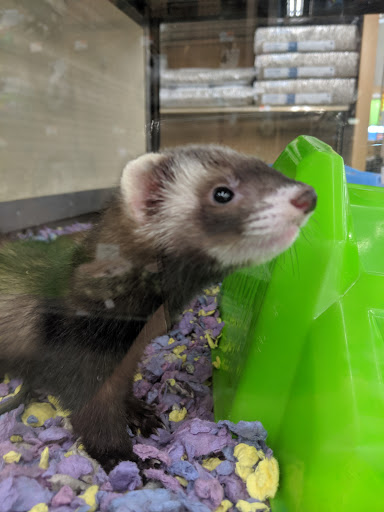 Pet Supply Store «Petco Animal Supplies», reviews and photos, 1215-1309 NJ-33 #1, Hamilton Township, NJ 08690, USA