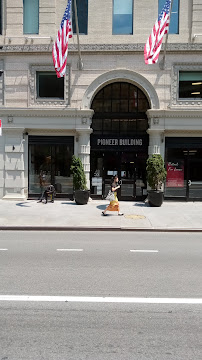 No Survivors Pest Control Company, Inc. - Photo 5 - Car repair in Brooklyn, NY, New York