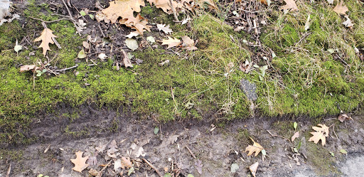 Golf Course «Mississippi National Golf Links», reviews and photos, 409 Golf Links Dr, Red Wing, MN 55066, USA