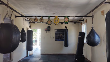 Team Homie Boxing - Toluca 100 altos, Altamira Sector 2, 89602 Altamira, Tamps., Mexico