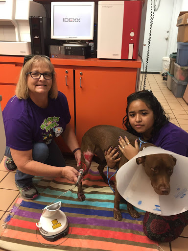 West Palm Animal Clinic: Dr. Michelle Durkee image