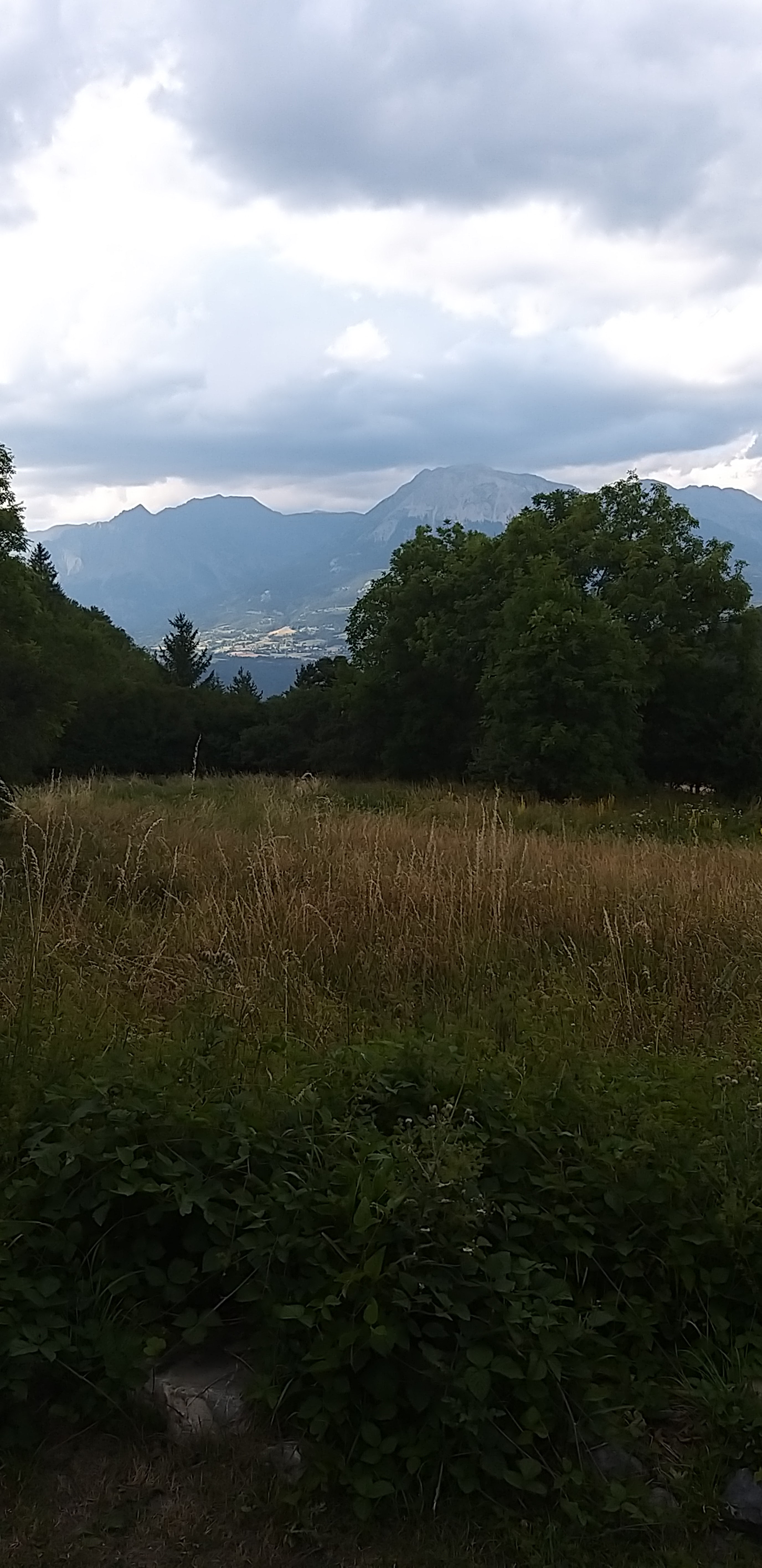 Photo n° 10 de l'avis de Fabien.e fait le 29/07/2021 à 05:48