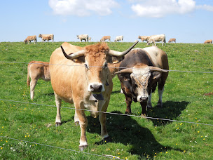 Photo n°24 de Buron de Camejane à Saint-Chély-d'Aubrac ()