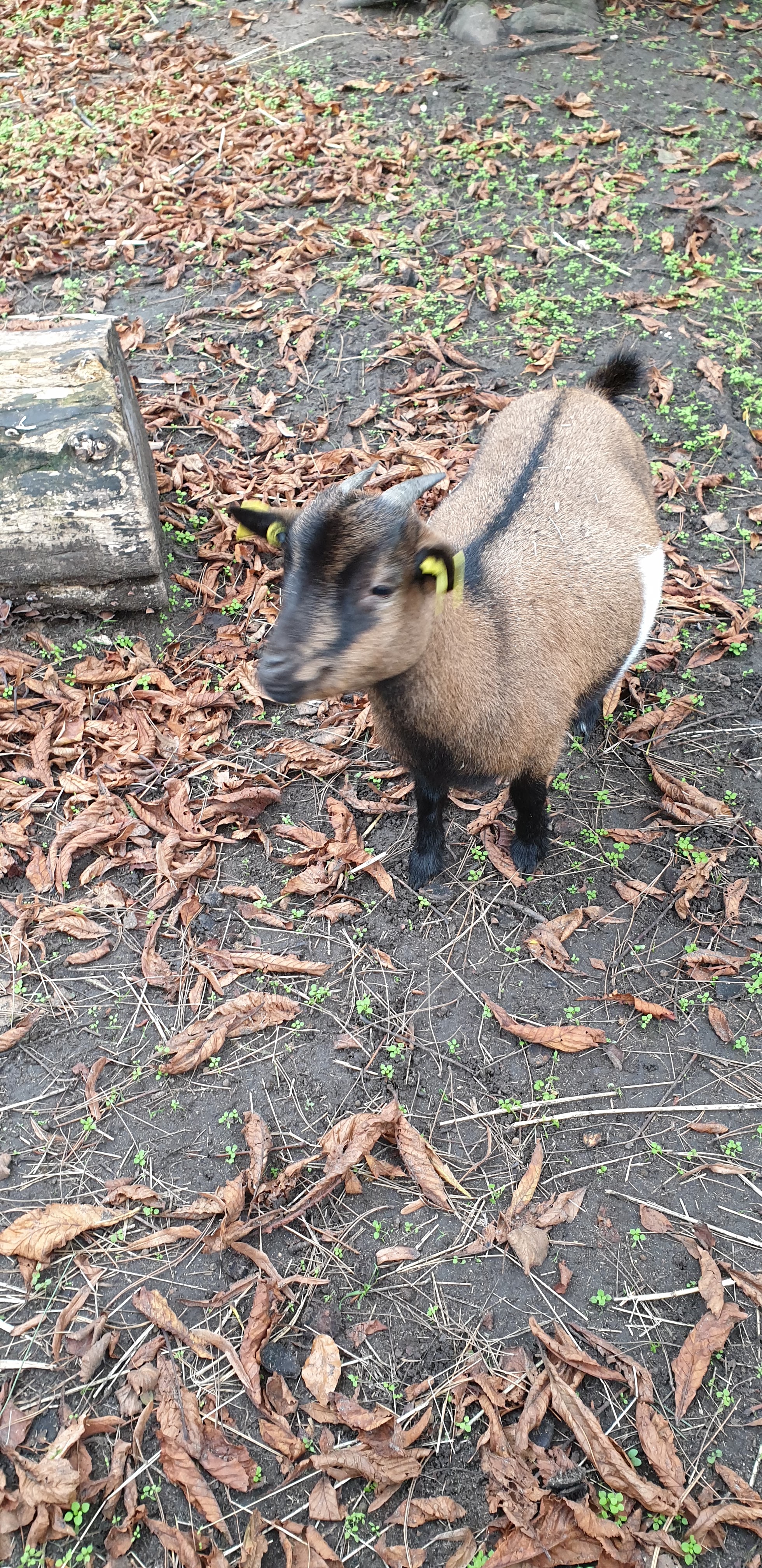 Photo n° 36 de l'avis de Julien.' fait le 23/10/2019 à 14:35
