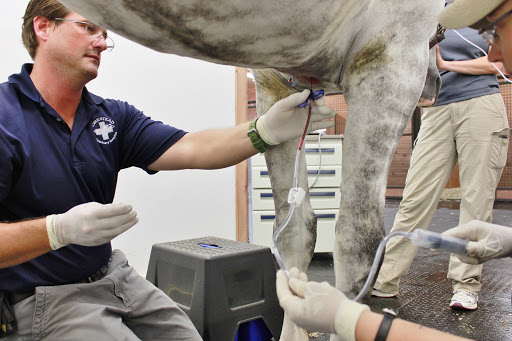 Homestead Veterinary Hospital: Dr. Mark Cassells image