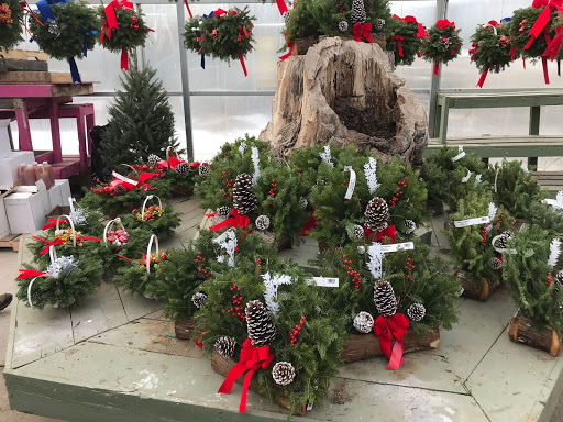 Winery «Sunset Meadow Vineyards», reviews and photos, 599 Old Middle St, Goshen, CT 06756, USA