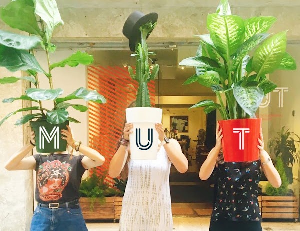 Imagen de Floristeria Vitamina Natura (4 de 13)