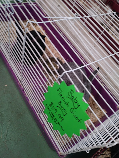 Pet Store «Pets World», reviews and photos, 147 Bridge St, Weymouth, MA 02191, USA