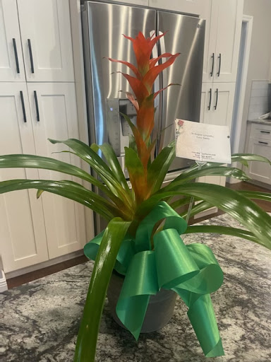 Florist «Oldsmar Florist», reviews and photos, 3906 Tampa Rd B, Oldsmar, FL 34677, USA