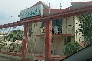 Hostal Reales Tamarindos image