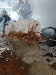 Photo n°73 de Chez Melon Tout Est Bon à Beauvoir-sur-Mer ()