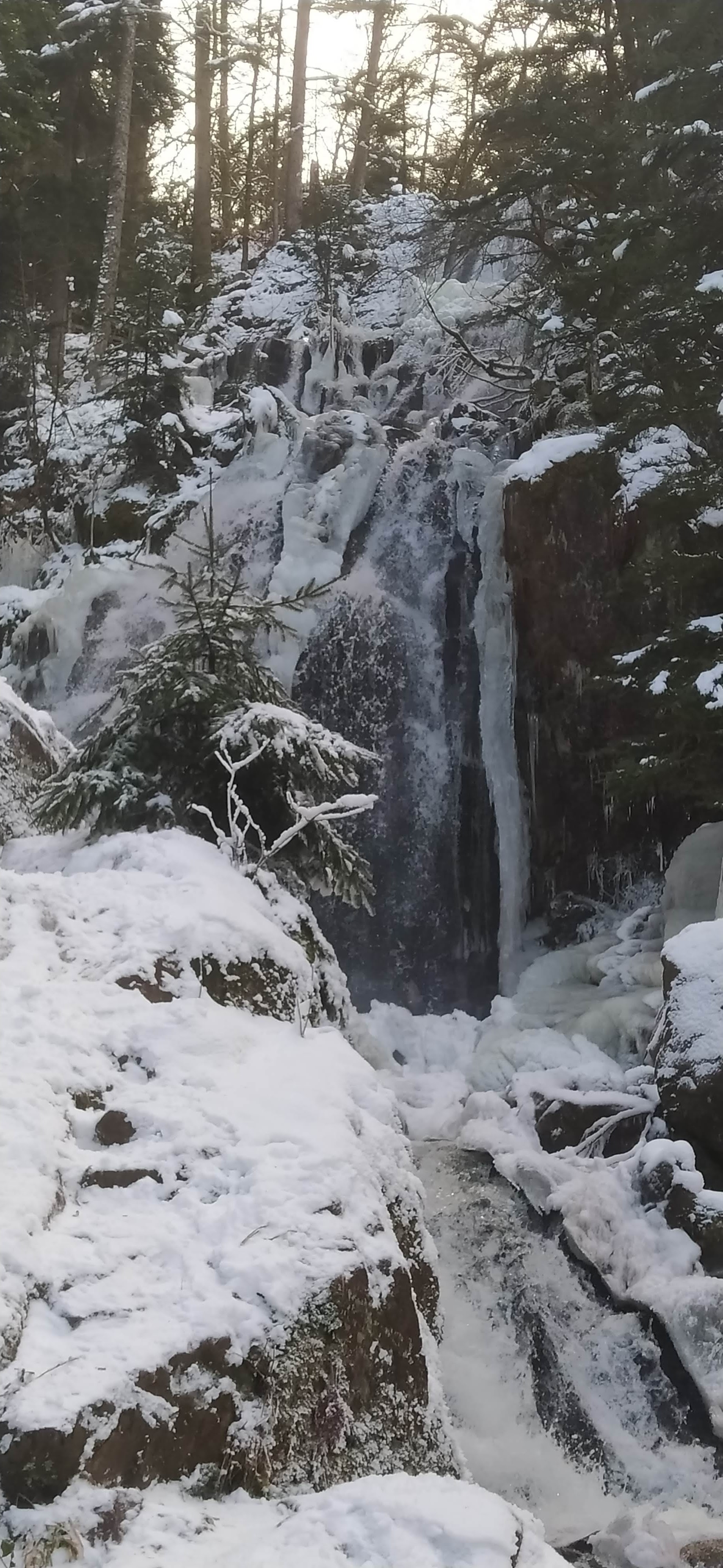 Photo n° 2 de l'avis de Anne.a fait le 14/02/2021 à 16:37