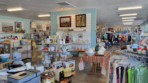 Thrift Store «American Cancer Society», reviews and photos