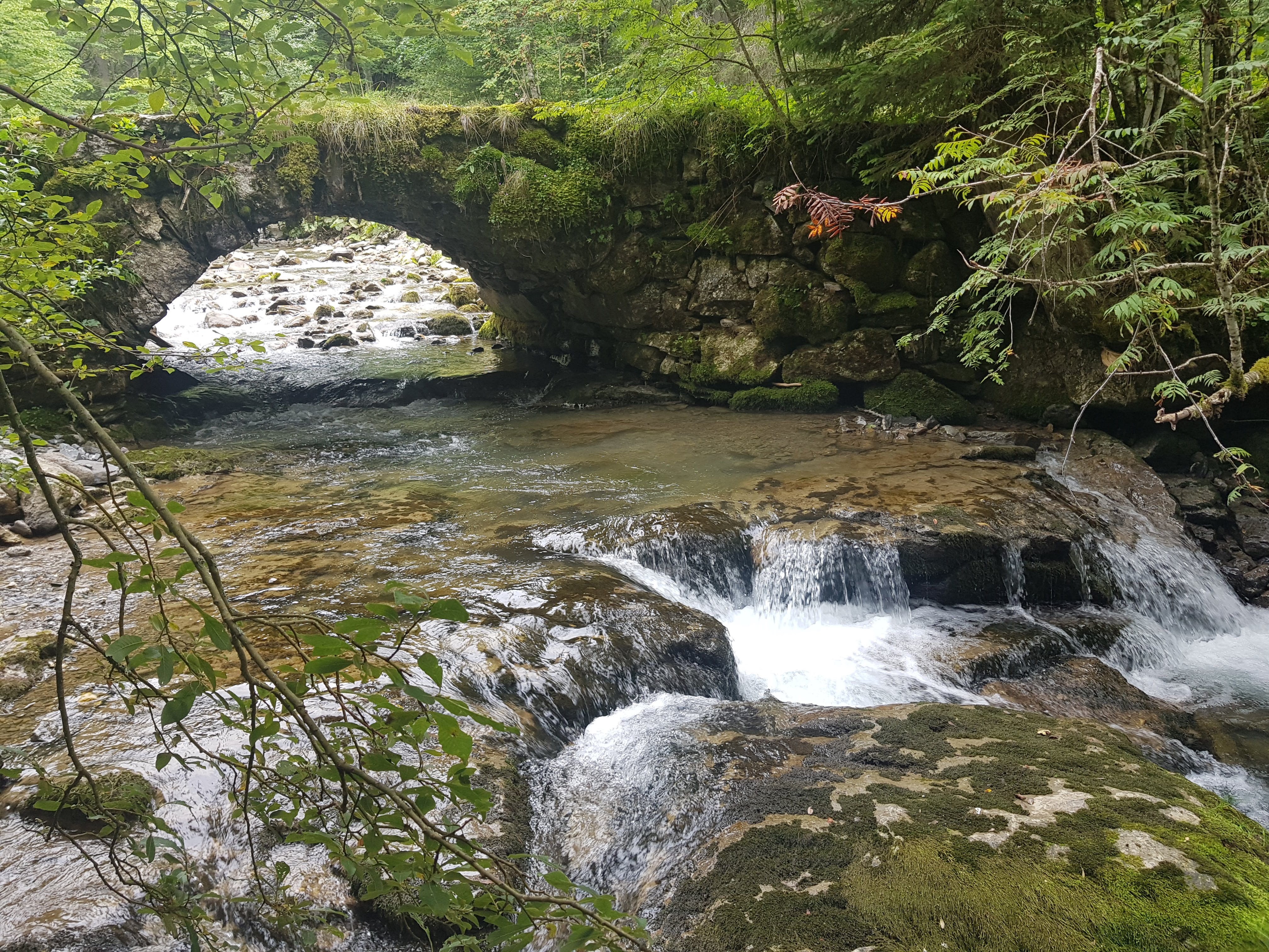 Photo n° 3 de l'avis de Vincent.e fait le 19/09/2019 à 11:09