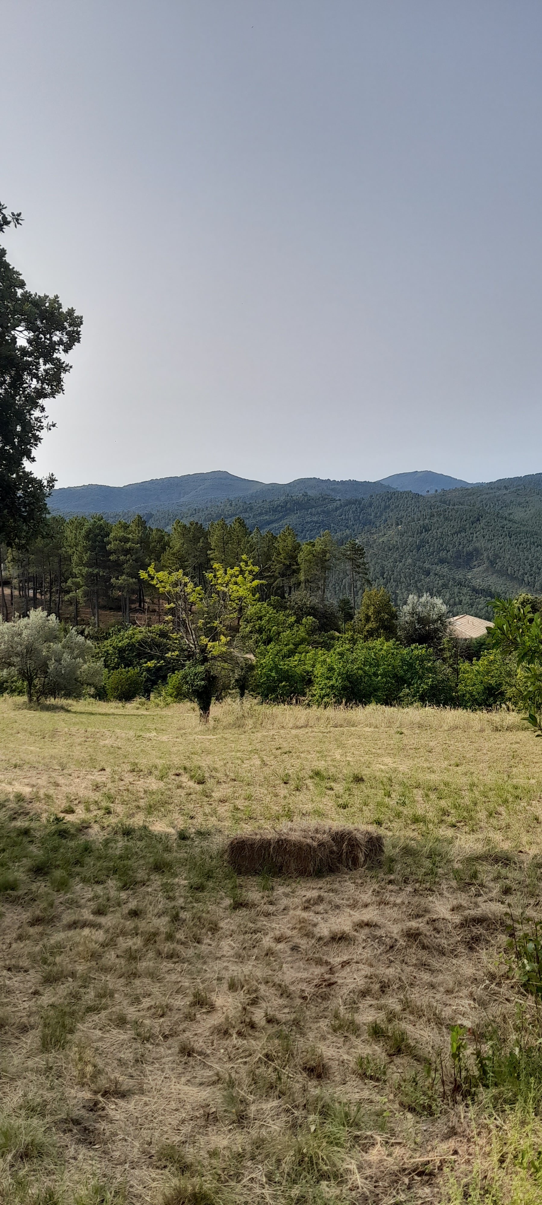 Photo n° 2 de l'avis de Jérôme.e fait le 27/07/2023 à 15:58