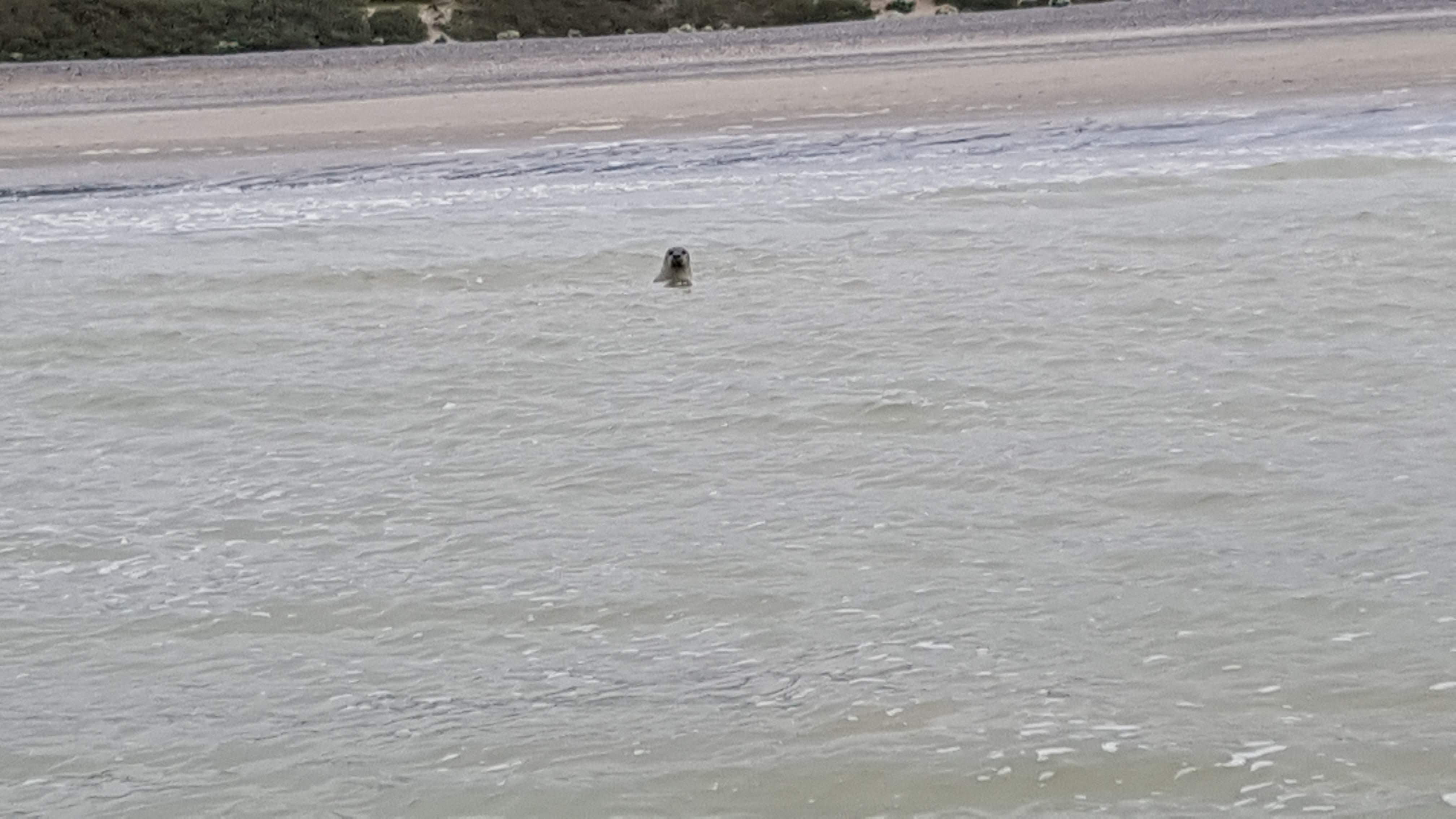 Photo n° 6 de l'avis de thiriet.r fait le 20/05/2019 à 07:26