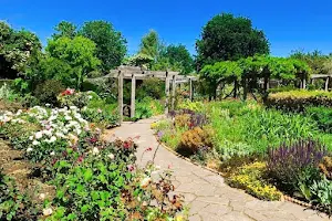 Brockwell Park Walled Garden image